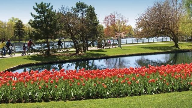 Tour Image Thumbnail